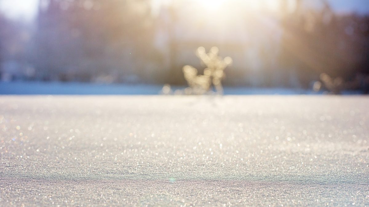 neige-froid