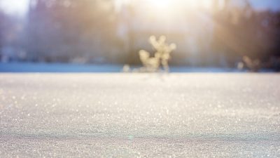 neige-froid