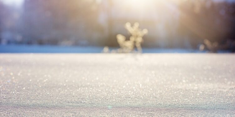 neige-froid
