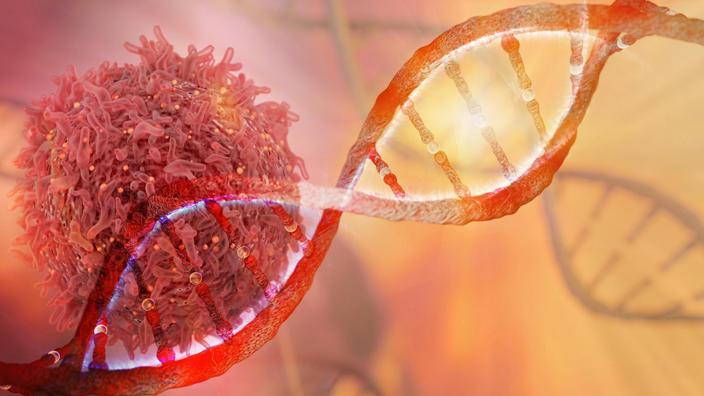cellule-cancer-adn