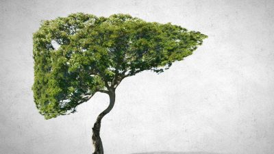 fois-vegetal-concept