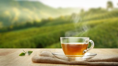 tasse the vert