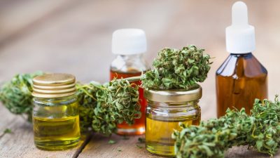 huiles et plantes de cbd