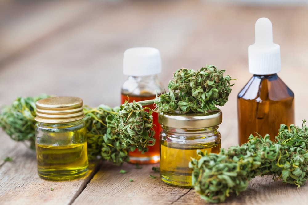 huiles et plantes de cbd