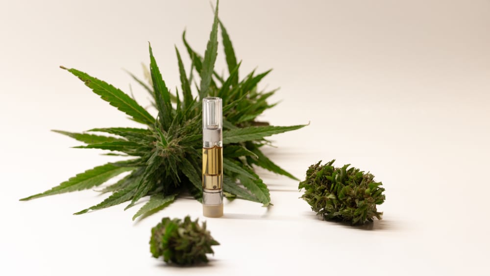 fleurs huile de cbd chanvre